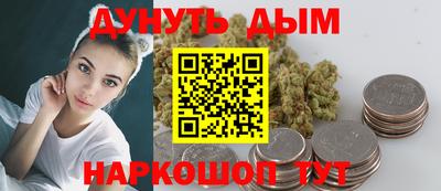 стафф Камышлов