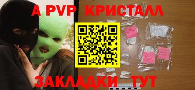 стафф Камышлов