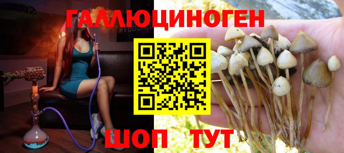 Меф МЯУ МЯУ кристаллы  ГАШИШ  Кокаин  Зеленодольск  ГАШИШ  Конопля  Вход с VPN 