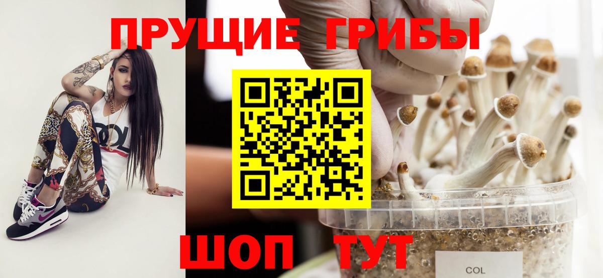 Зеленодольск  Галлюциногенные грибы MAGIC MUSHROOMS  Вход с VPN 